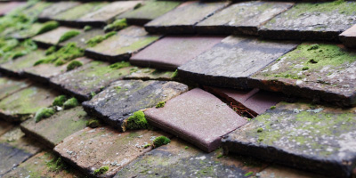 Linton roof repair costs